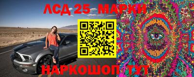 стаф Тара