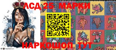 стаф Тара