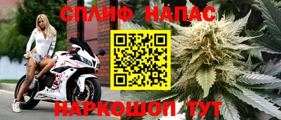 стаф Тара