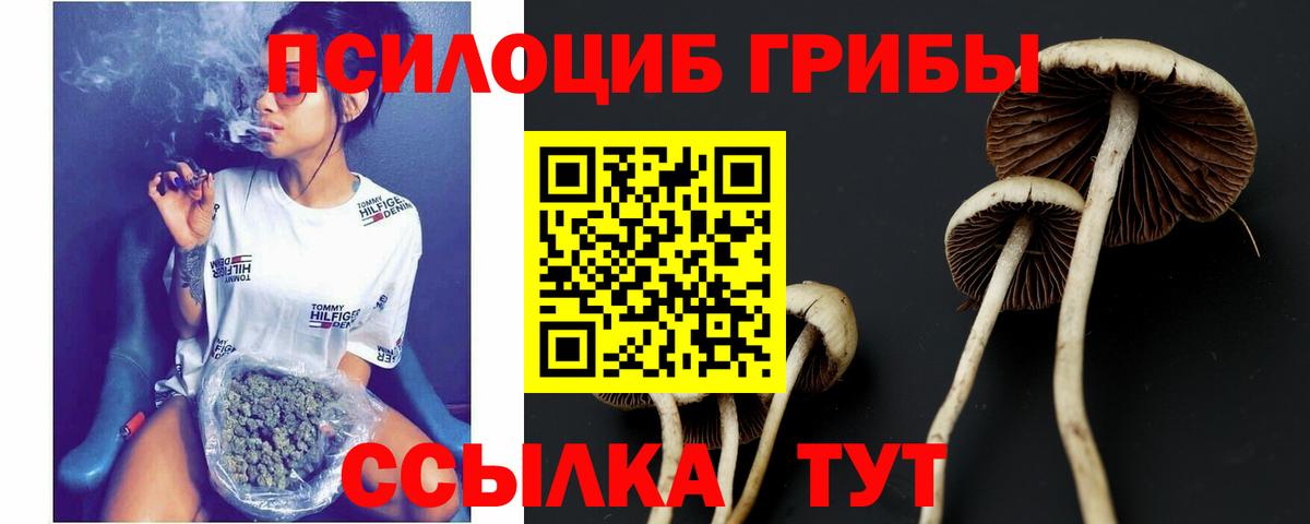 Галлюциногенные грибы Cubensis  Вход с VPN  Нижний Тагил  Галлюциногенные грибы GOLDEN TEACHER 